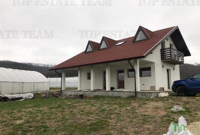 Casa de vanzare in Stanomiru  Judetul Valcea cu un teren in suprafata de 320000 Casa de vanzare in Stanomiru  Judetul Valcea cu un teren in suprafata de 320000 - 2