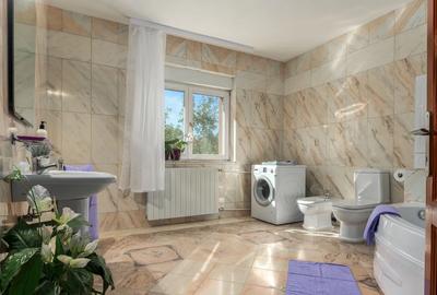 Proprietate eleganta D+P+E in zona de case Parcul Circului,teren generos-500mp - 17