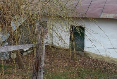 Casa si teren de vanzare Dumitresti Casa si teren de vanzare Dumitresti - 2