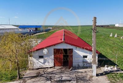 Tariverde - Ferma zootehnica functionala, 3 hectare teren intravilan! - 12