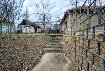 Spațiu industrial, de 240 mp, în Hodiș - 9