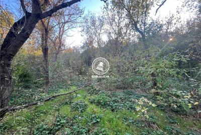 Teren pentru constructii case de vanzare Iasi, Carlig - 3