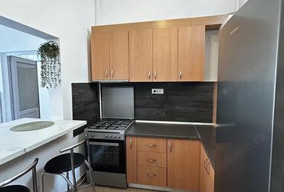 Apartament 2 Camere Podgoria - 4