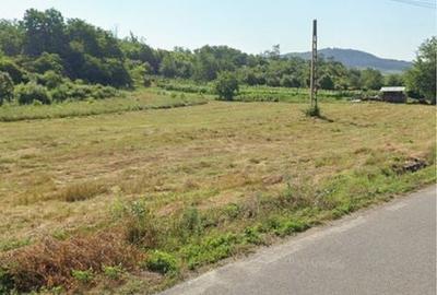 Spațiu comercial, în Halânga - 7