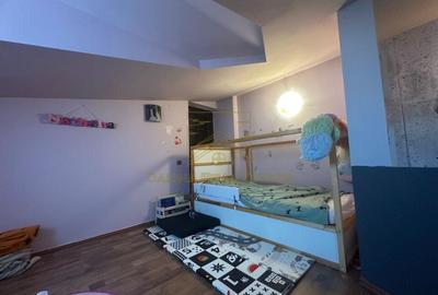 Vanzare - Proprietate cu Potential-Locuinta si Business - 19