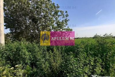 Teren de 5000 mp, în Copăceni - 4