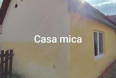 Vand casa in Recas, Timis - 6