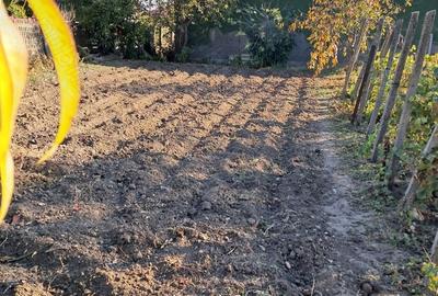Casă cu 3 camere cu Teren 1354 Mp în Segarcea - 1
