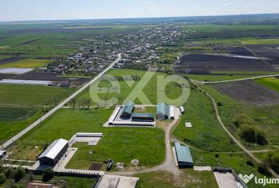 Teren în Crânguri - 17