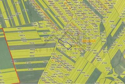 Vorovesti TEREN 10000mp intravilan la soseaua pricipala cu utilitati - 5