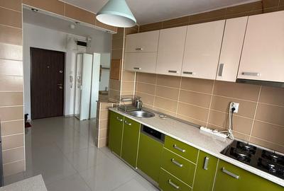 Apartament cu 2 camere semidecomandat, mobilat în Moșilor - 6