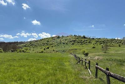 Domeniu - 66 Hectare - Teren deosebit Copsa Mica cu desch... - 16