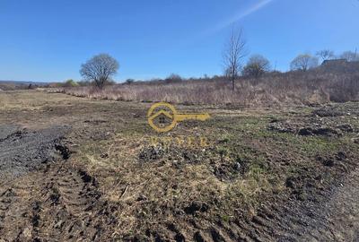 Teren de 250 mp, în Roșia