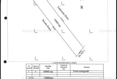 Teren Construcții intravilan de 10000 mp, în Est - 3