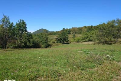 Spațiu comercial, în Luncoiu de Sus - 11