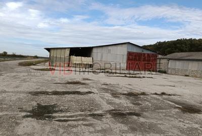 Ferma Agricolă 1.350 Hectare – Grad de Comasare 96–97%, Chișineu Criș, Ju - 12