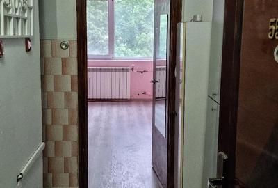 Garsonieră nedecomandată în Țiglina 1 - 7
