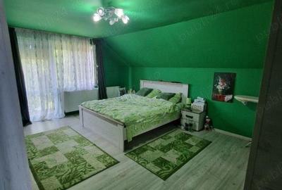 Casă cu 5 camere în Sânmihaiu Român