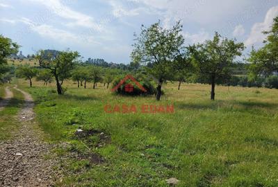 Casă cu Teren 1490 Mp în Voila - 5