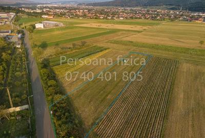 Teren de 1800 mp, în Gilău