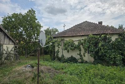 Vand casa in Tinca (sau schimb cu garsoniera oradea) 2 camere, pe treren de 1000 metri patrati - 1