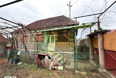 Casă cu 4 camere cu Teren 2846 Mp în Aștileu - 8