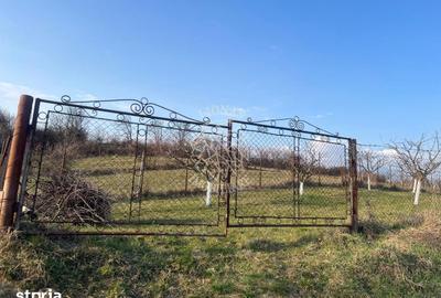 Teren de 3100 mp, în Nimigea - 5