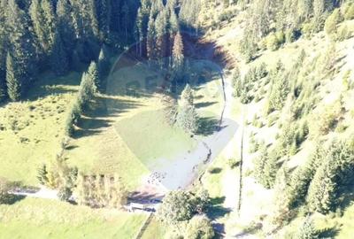 Teren 9555mp, din care 6120m.intravilan Vatra Dornei. - 4