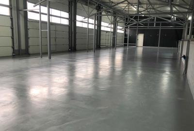 Spațiu comercial, de 330 mp, în Zona industrială - 2