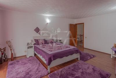 Vila Individuala | P+1+M | Dascalu - 22