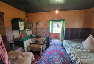 Casa cu teren generos in zona ARCADIA Casa cu teren generos in zona ARCADIA - 3