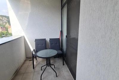 Apartament RACADAU Sunnyville, mobilat modern - 9