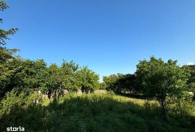 Teren de 2540 mp, în Valea Adâncă - 3