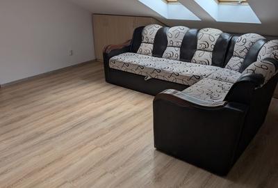 Apartament cu 2 camere semidecomandat în Dosu Bricii - 2