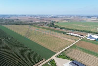 Gaminvest Teren intravilan de vanzare, 66400 mp, langa Oradea, Bihor ,V4117 - 12