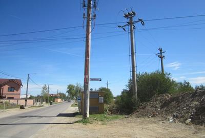 Domnesti Teghes-Padurarului - 5