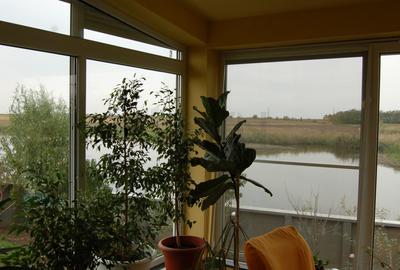 REV0002800 Vila de vanzare cu vedere la lac Laguna Albastra Corbeanca - 8