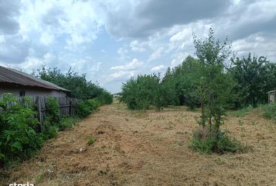 Teren de 3093 mp, în Bolintin-Deal - 6