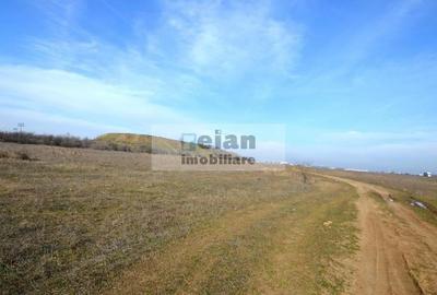 Pipera - Lidl Racovita -  Teren 6000 Mp, 38 Ml Deschidere 38 Ml - 7