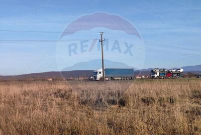 Teren intravilan - PUZ Lugoj / DN centura ocolitoare a Lugojului - 4