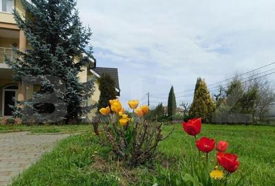 Casa cu 5 camere, 386 mp, Sangeorgiu de Mures, zona Apollo S - 6