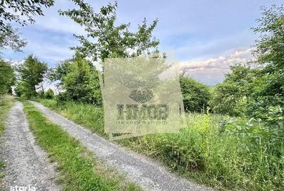 Spațiu comercial, în Șura Mare