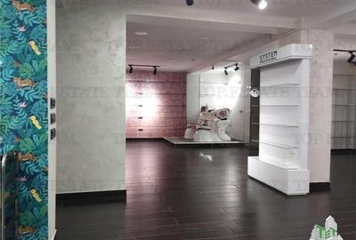 Spatiu comercial modern demisol 262 mp cu intrare separata, excelent pozitionat - 2