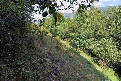 Teren de 3000 mp, în Măguri - 4