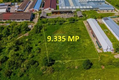 Teren de 9335 mp, în Teliu - 7