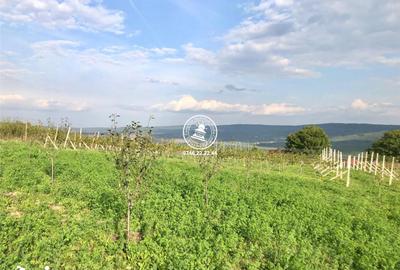 Teren de 6200 mp, în Mogoșești - 3