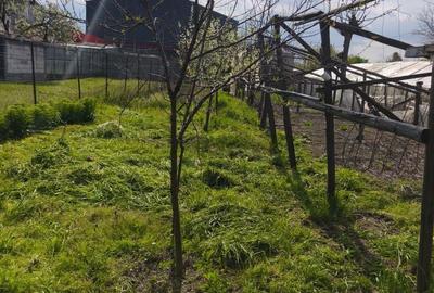 Casă cu 4 camere în Colibași - 4
