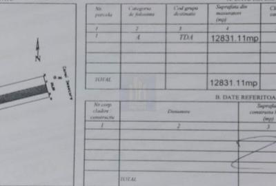 Spațiu comercial, în Balotești - 4