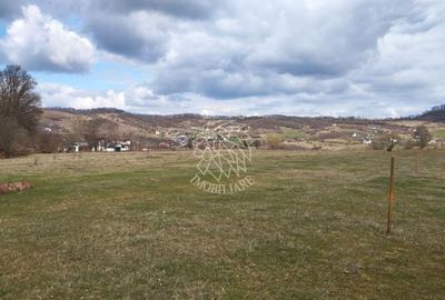 Teren agricol extravilan de 3700 mp, în Sud-Est - 1