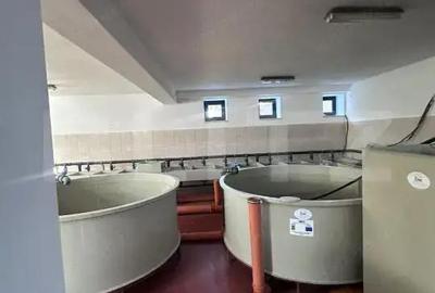 Spațiu comercial, de 334 mp, în Central - 4